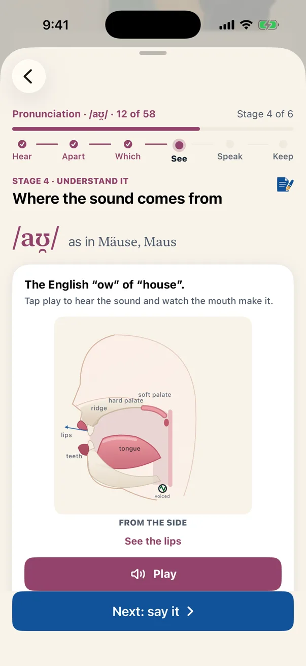The pronunciation course in Lautly: 103 lessons in two parts, Find my sounds, daily ear training and the vowel chart.